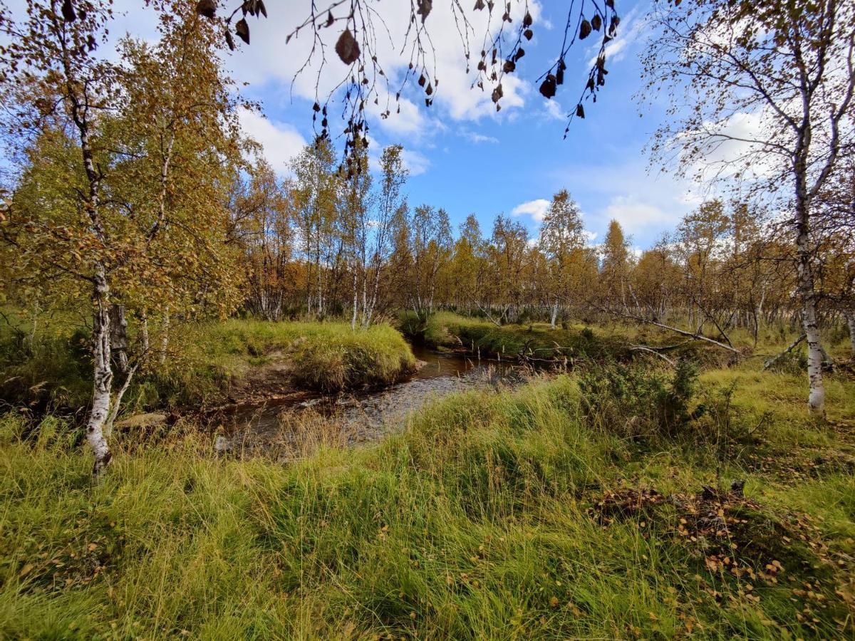 Villa Lavijoki Kaaresuvanto Eksteriør billede
